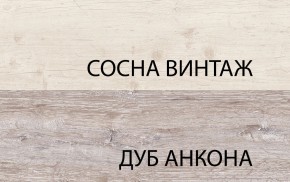 Шкаф 2D1S, MONAKO, цвет Сосна винтаж/дуб анкона в Набережных Челнах - naberezhnye-chelny.ok-mebel.com | фото