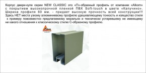 Шкаф-купе 1500 серии NEW CLASSIC K2+K2+B2+PL2(2 ящика+1 штанга+1 полка) профиль «Капучино» в Набережных Челнах - naberezhnye-chelny.ok-mebel.com | фото 17