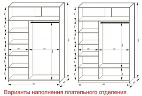 Шкаф-купе 1600 серии SOFT D6+D4+B2+PL2 (2 ящика+1штанга+1 полка) профиль «Капучино» в Набережных Челнах - naberezhnye-chelny.ok-mebel.com | фото 8