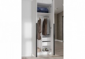 Шкаф платяной Широн в Набережных Челнах - naberezhnye-chelny.ok-mebel.com | фото 3