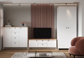 Шкаф платяной Теодора в Набережных Челнах - naberezhnye-chelny.ok-mebel.com | фото 4