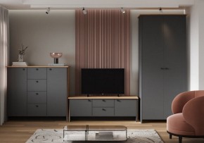 Шкаф платяной Теодора в Набережных Челнах - naberezhnye-chelny.ok-mebel.com | фото 3