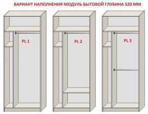 Шкаф распашной серия «ЗЕВС» (PL3/С1/PL2) в Набережных Челнах - naberezhnye-chelny.ok-mebel.com | фото 5