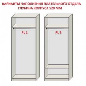 Шкаф распашной серия «ЗЕВС» (PL3/С1/PL2) в Набережных Челнах - naberezhnye-chelny.ok-mebel.com | фото 9