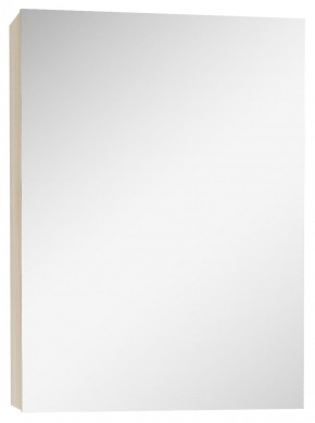 Шкаф-зеркало Мечта 40 Дуб сонома АЙСБЕРГ (DM2317HZ) в Набережных Челнах - naberezhnye-chelny.ok-mebel.com | фото
