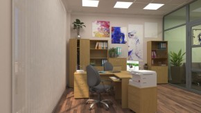 Шкафы для документов Р.Ш-4СБ в Набережных Челнах - naberezhnye-chelny.ok-mebel.com | фото 5