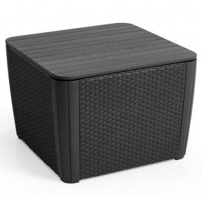 Стол-сундук Лузон Плюс (Luzon Plus Flat Wicker), графит в Набережных Челнах - naberezhnye-chelny.ok-mebel.com | фото 3