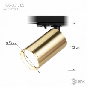 Светильник на штанге Эра  TR39-GU10 BS в Набережных Челнах - naberezhnye-chelny.ok-mebel.com | фото 6