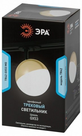 Светильник на штанге Эра  TR42-GX53 MG в Набережных Челнах - naberezhnye-chelny.ok-mebel.com | фото 6