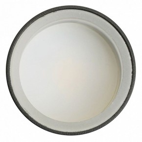 Светильник на штанге Feron ML1001 51371 в Набережных Челнах - naberezhnye-chelny.ok-mebel.com | фото 4