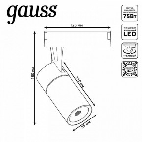 Светильник на штанге Gauss Track Light TR060 в Набережных Челнах - naberezhnye-chelny.ok-mebel.com | фото 5