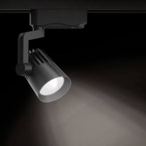 Светильник на штанге Gauss Track Light TR061 в Набережных Челнах - naberezhnye-chelny.ok-mebel.com | фото 2
