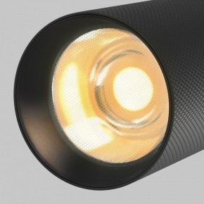 Светильник на штанге Maytoni Artisan TR097-2-12W2.7K-M-BB в Набережных Челнах - naberezhnye-chelny.ok-mebel.com | фото 9