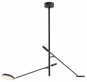 Светильник на штанге Maytoni Fad MOD070CL-L15B3K1 в Набережных Челнах - naberezhnye-chelny.ok-mebel.com | фото