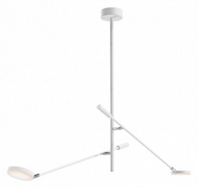Светильник на штанге Maytoni Fad MOD070CL-L15W3K1 в Набережных Челнах - naberezhnye-chelny.ok-mebel.com | фото