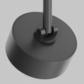 Светильник на штанге Maytoni Lens TR217-2-15W3K-B в Набережных Челнах - naberezhnye-chelny.ok-mebel.com | фото 11