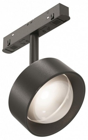 Светильник на штанге Maytoni Lens TR217-2-15W4K-B в Набережных Челнах - naberezhnye-chelny.ok-mebel.com | фото